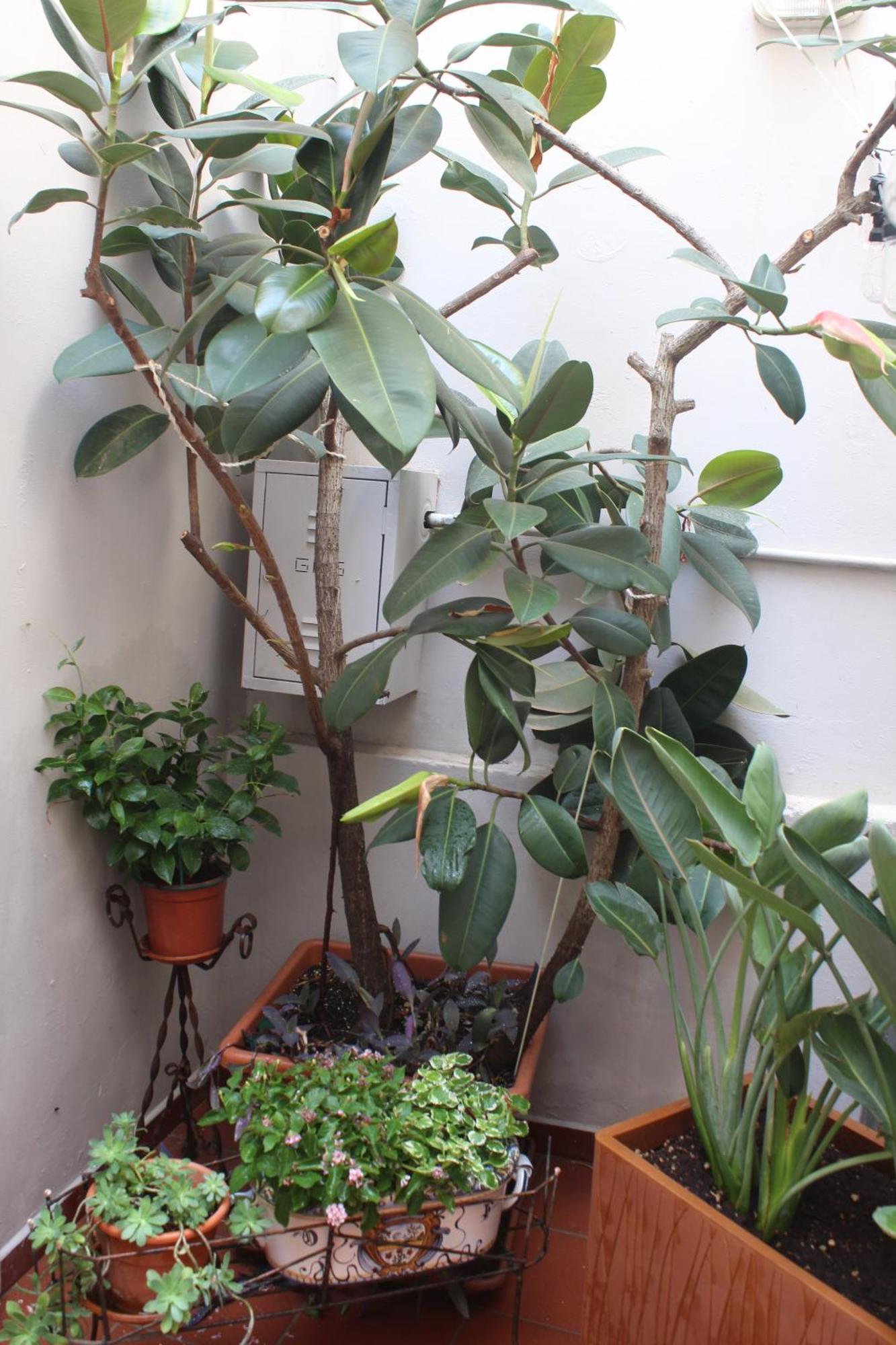Appartement La Terrazza Sul Tempio à Brindisi Extérieur photo